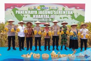 Panen Raya Jagung Kuartal III, Polda Sumut Komitmen Wujudkan Swasembada Pangan